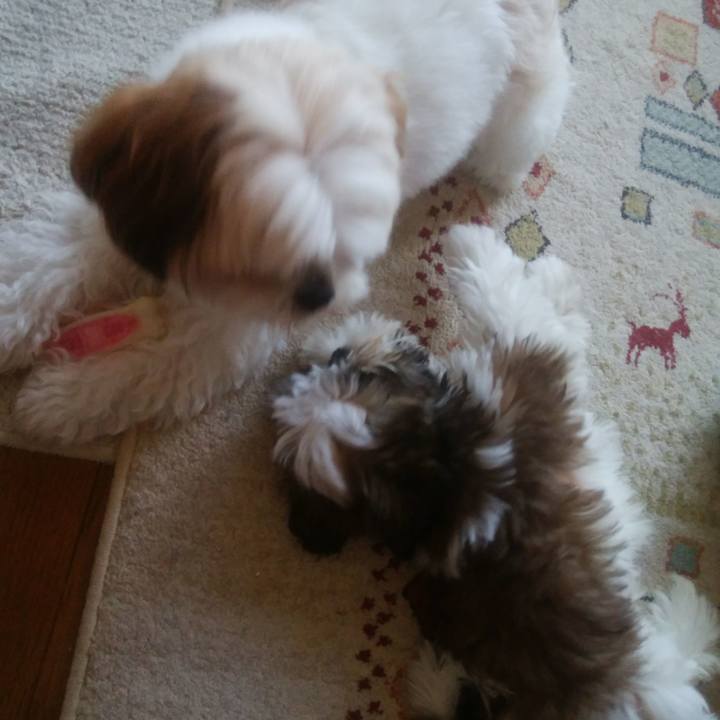 1465be1c 644a 42fd a45e 3472737caeaf 1533943970991