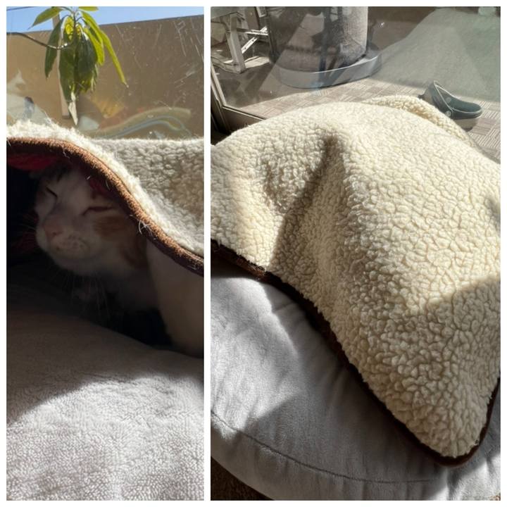 14665922 1f2a 46ef 866a 28147f353f4d 1769395662420