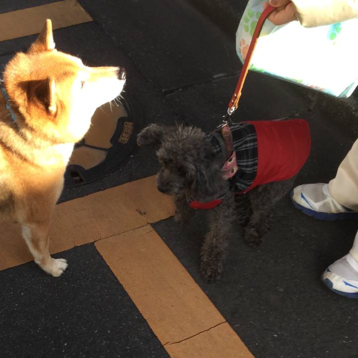 146682c2 5032 4f11 8508 aa141c6fb142 1546075504593