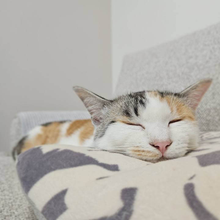 14669ecd 56c4 46b8 b857 3a1929eb47e0 1754622943663