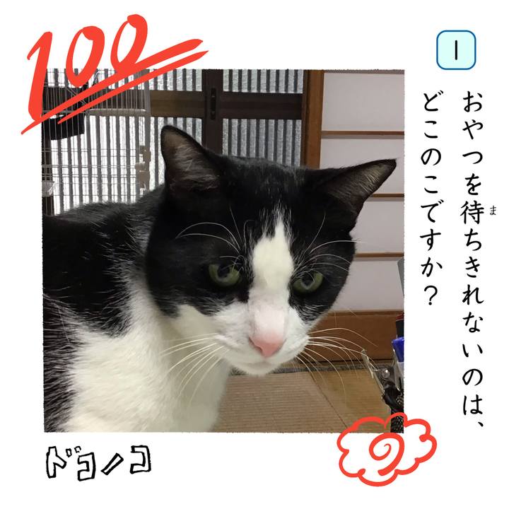 1466a3e5 95db 43ea a68c f226134ea1d6 1744276077568