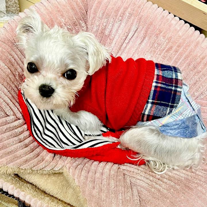 1466c00c f629 4b3c 9184 c37191cdde0c 1668588103914