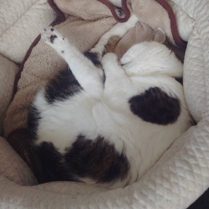 1466d478 7141 4346 8ca3 e1b7c44b81b5 1618481859997