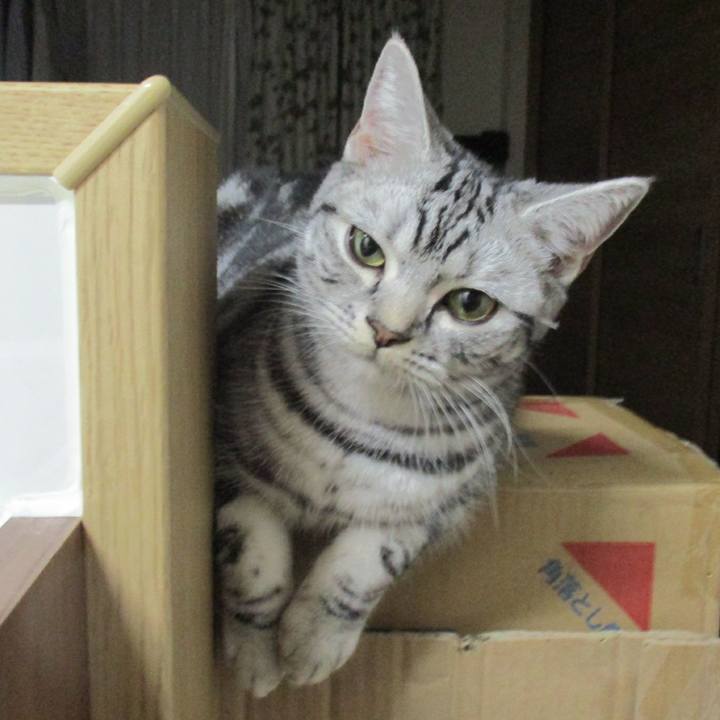 1466fc32 348a 4da8 8e22 255756588b47 1544189630262