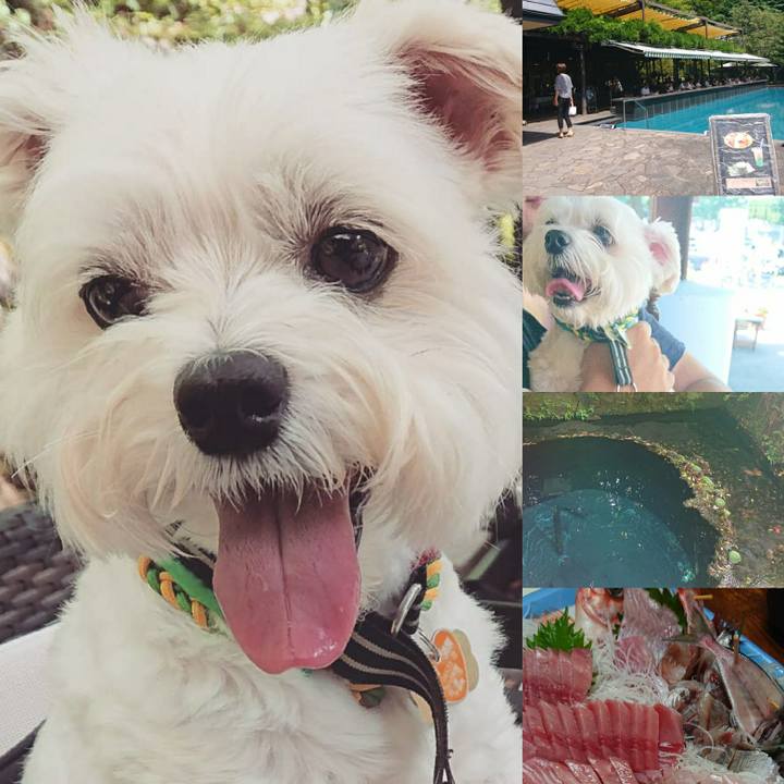 146740c9 ba14 4911 b15a 781cd381ea97 1566044368992