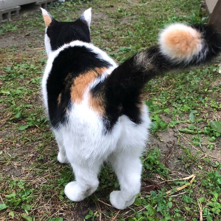 146763e1 919c 4a7c ba1e 648f96c8d1a6 1602885394999