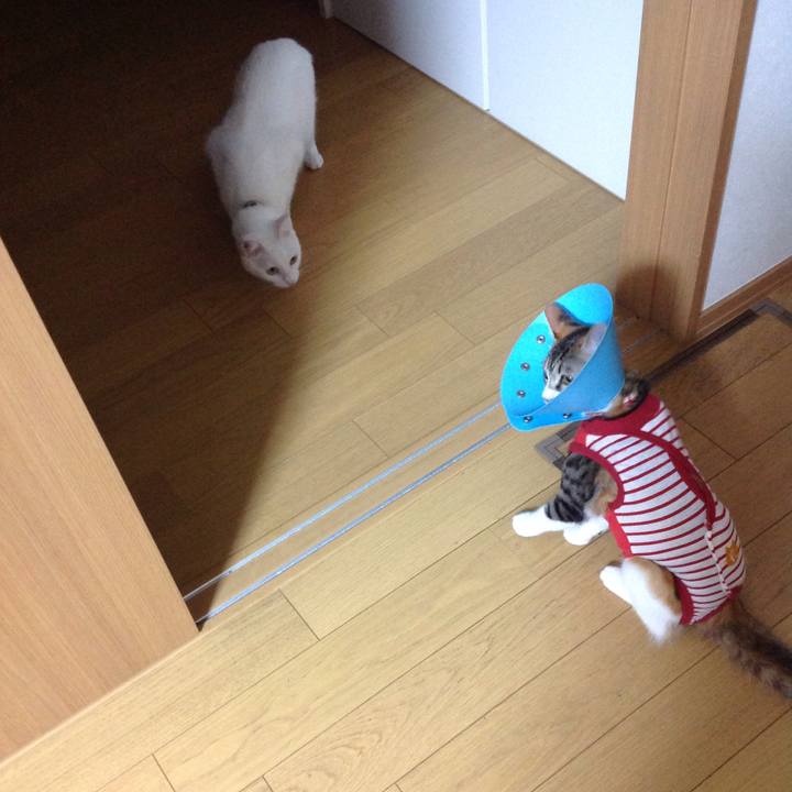 14676780 1ce9 42b2 994f 6b2466f3ed11 1634377035711