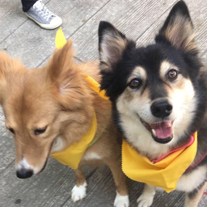 14676921 a8e3 4a19 ac3a 1099b715e83f 1537680906790