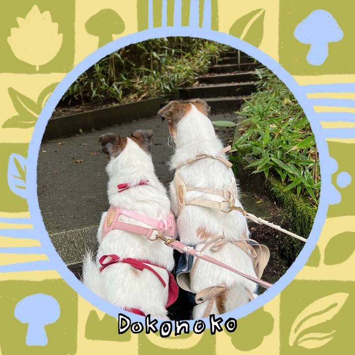 146777aa 9d2c 493d b240 cb426a97eadc 1761117049368