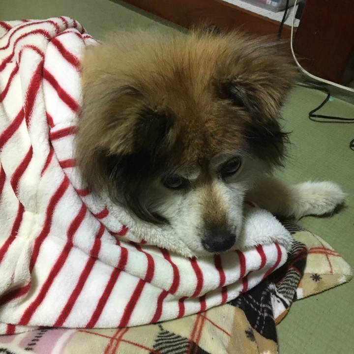 1467a5c0 7ccc 4c53 b863 1dcc54b8f06a 1610825327790