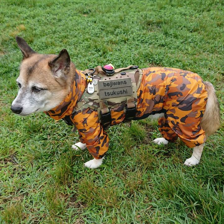 1467cd87 3588 4735 a148 5dc07cc6253d 1566396987758