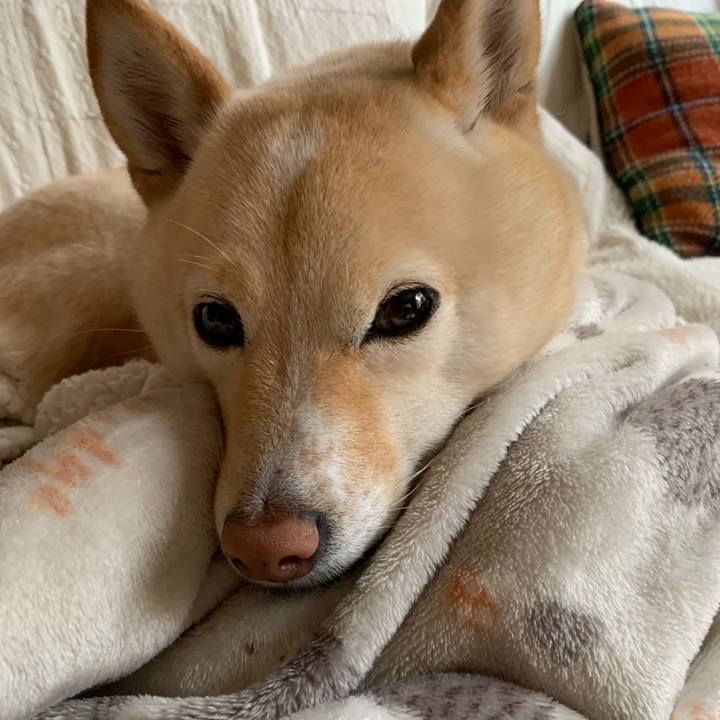 1467df36 7e8d 4f14 88f7 f14bb75348ba 1643936588295