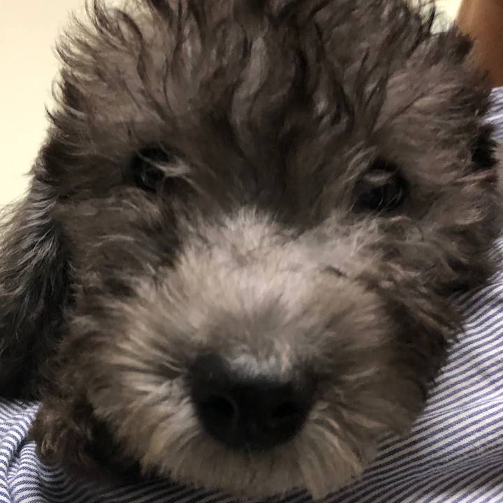 14681c80 0c3c 48f5 a2cb dc6091d0799d 1601979580100