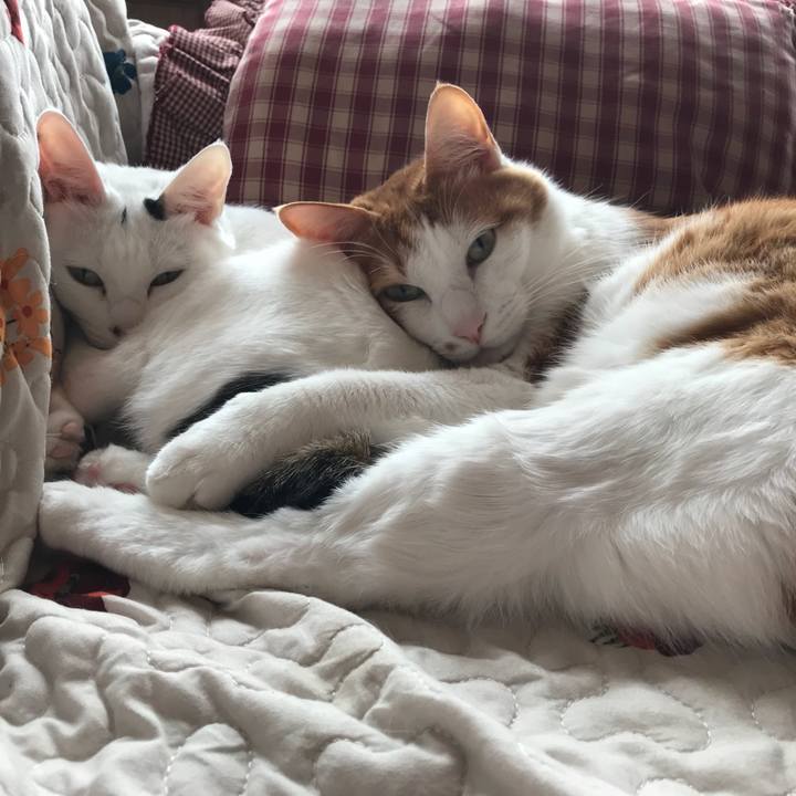 1468238c db5f 4507 b313 f1fbbcdbd442 1524364677227