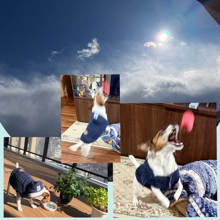 1468aaa0 7bc3 43bc a6de aa00ed35eb19 1768107931614