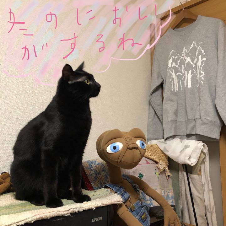 1468b5e5 de6f 4df1 b663 4389afc40dde 1542982190500