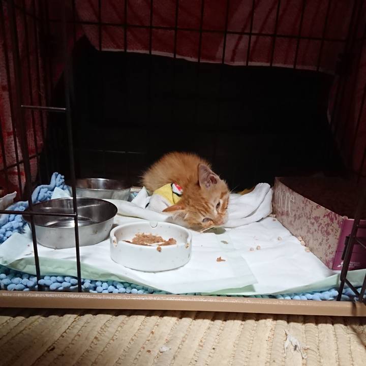 1468b617 42b3 476a a7b4 8f93d9a7ca4f 1627815655967