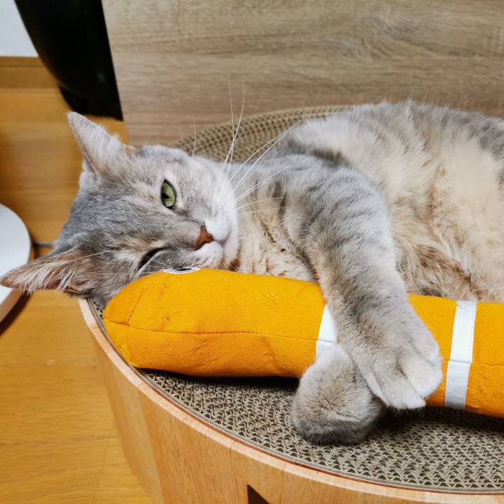 1468bd07 fc8d 4fe8 86cc 547042393335 1630765847367