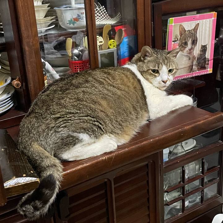 1468c9de 6f97 435e 9c30 9f1af1b3ae41 1758803360918