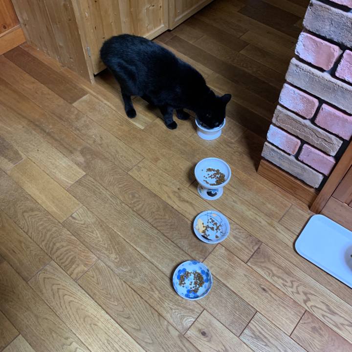 1468d557 c70e 47aa 95f3 f41be2d0a919 1662297437880