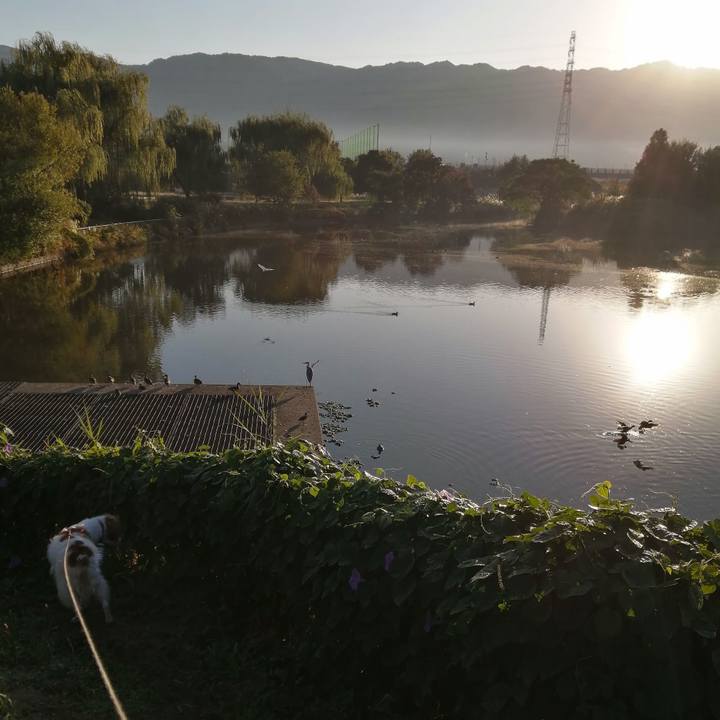 1468eeb5 162f 405a 9713 a61bd8e5cb9a 1604664506844