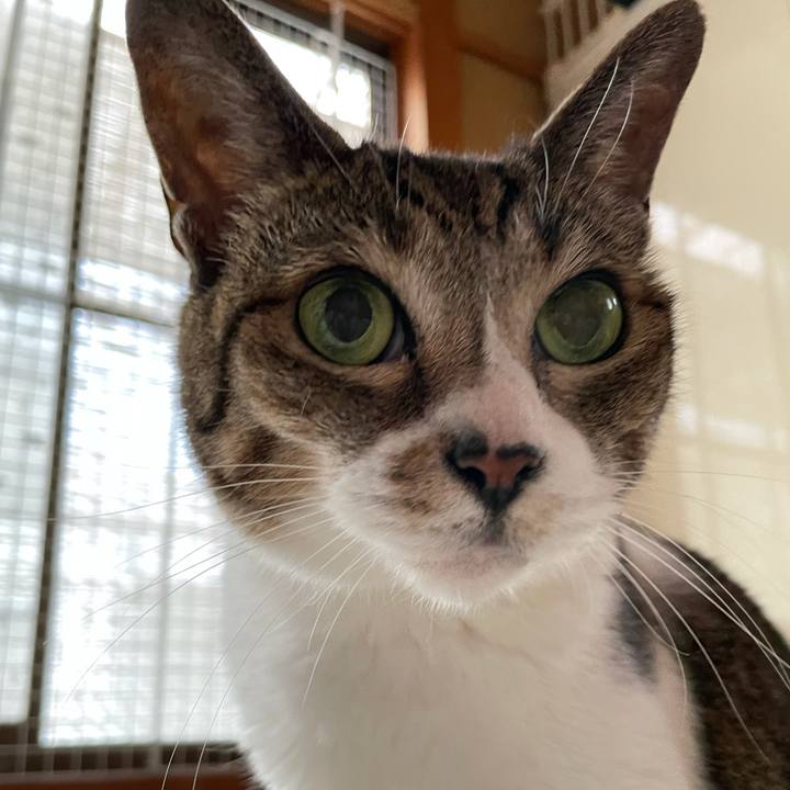 146927ff 61cb 40f5 8df3 7632fed88230 1633054260124