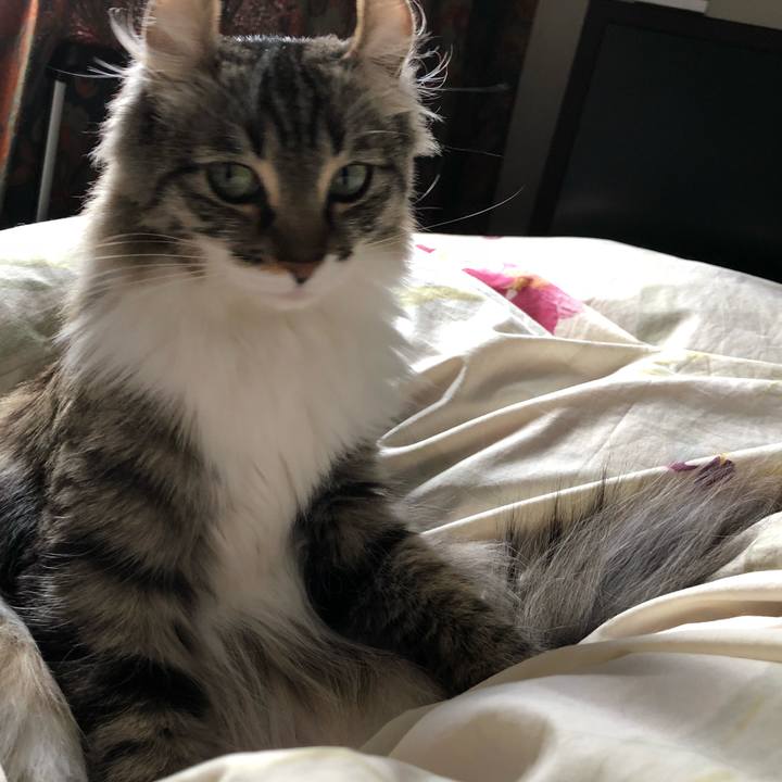 14693c54 2e9c 4d39 9c11 60b85e408a26 1525729317216