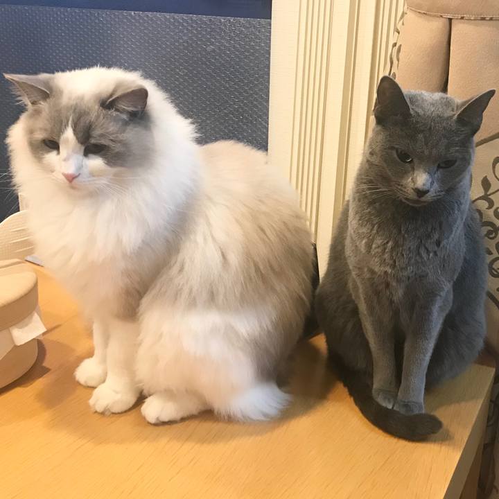 146961ec 653c 4a53 a679 46d516a2126f 1578265186627