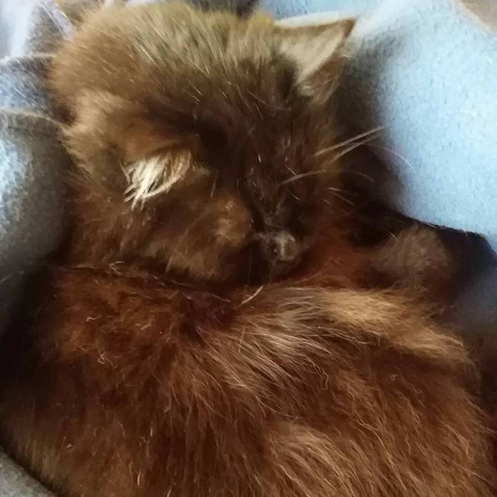 1469964e 0b8e 40fe 9e42 cb3cd0866766 1520677289683