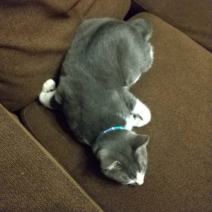 146a1687 19b3 4d27 9712 62e78d832c0a 1620745662324