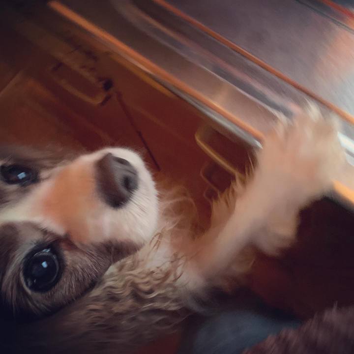 146a60fd 32ed 4f13 a5a7 cbfbc12d601c 1576708597457