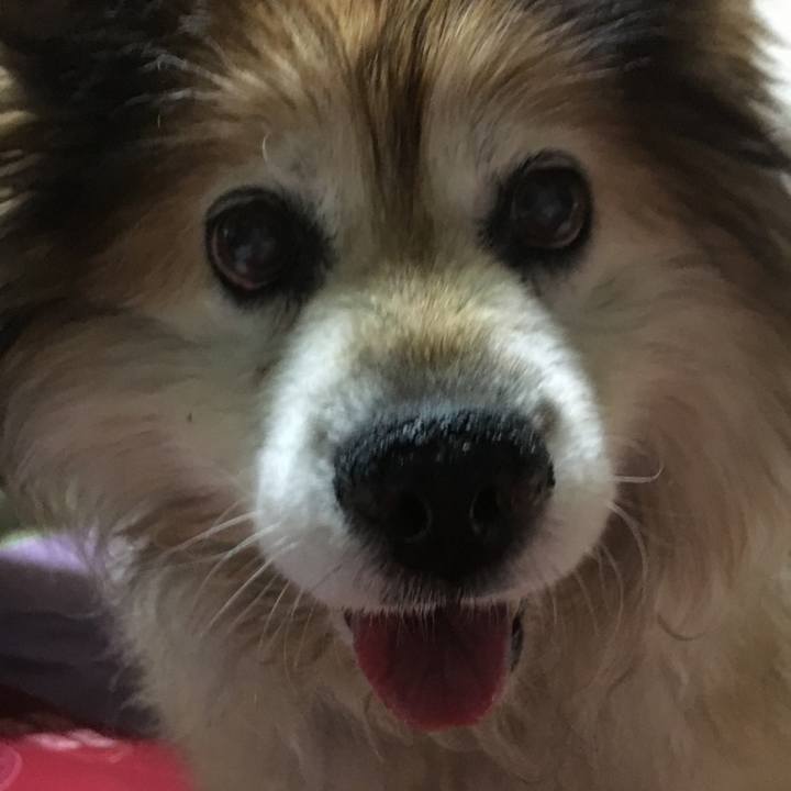 146a6944 7492 459e 9d60 33c5af2bae5e 1643201892079