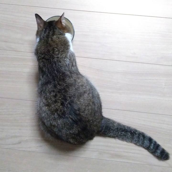 146a856d e2d8 4cec 840e f845d36d712a 1530273365007