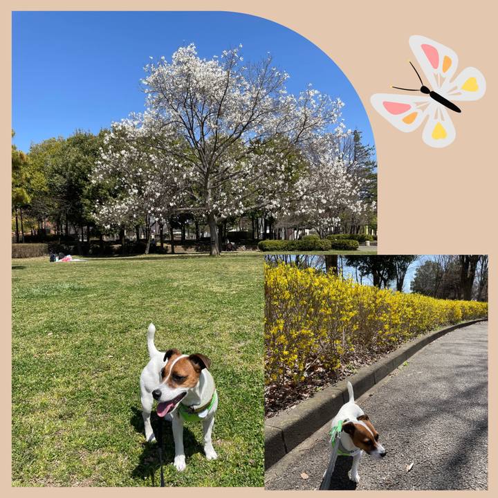 146abf24 481b 47ea 8e0e 94877e18eef8 1649500603681