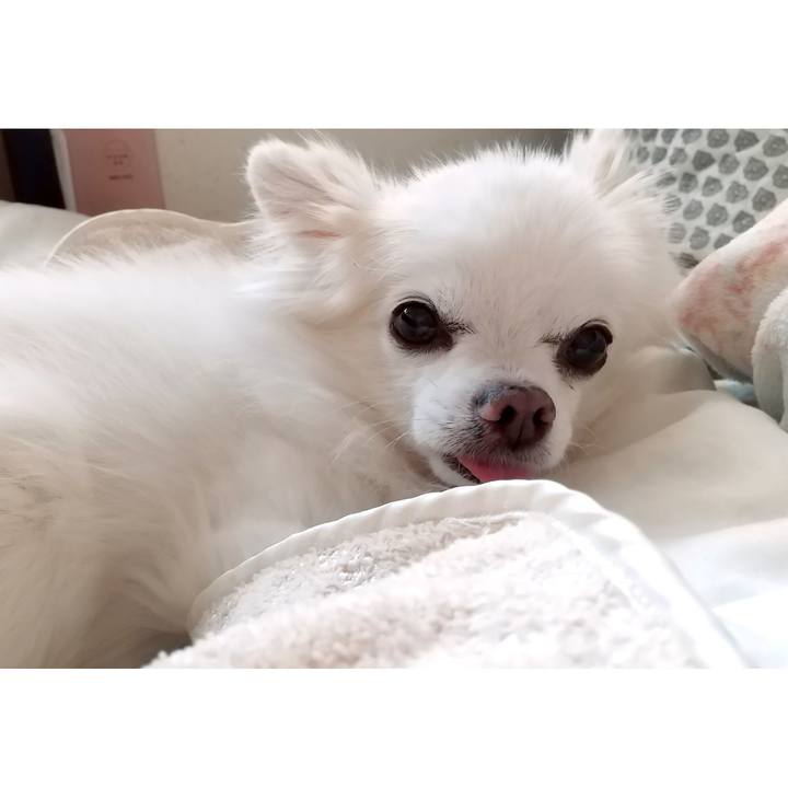 146ad8bb 2eaa 4dfb bd37 047e579ac872 1667018175973