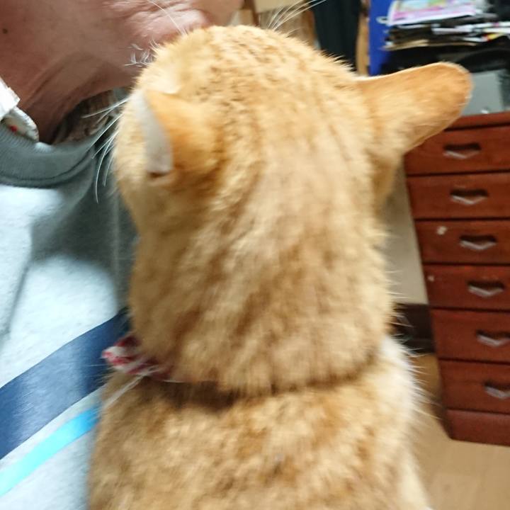 146afd99 4690 4d93 8528 94de8f078f4e 1606852318494