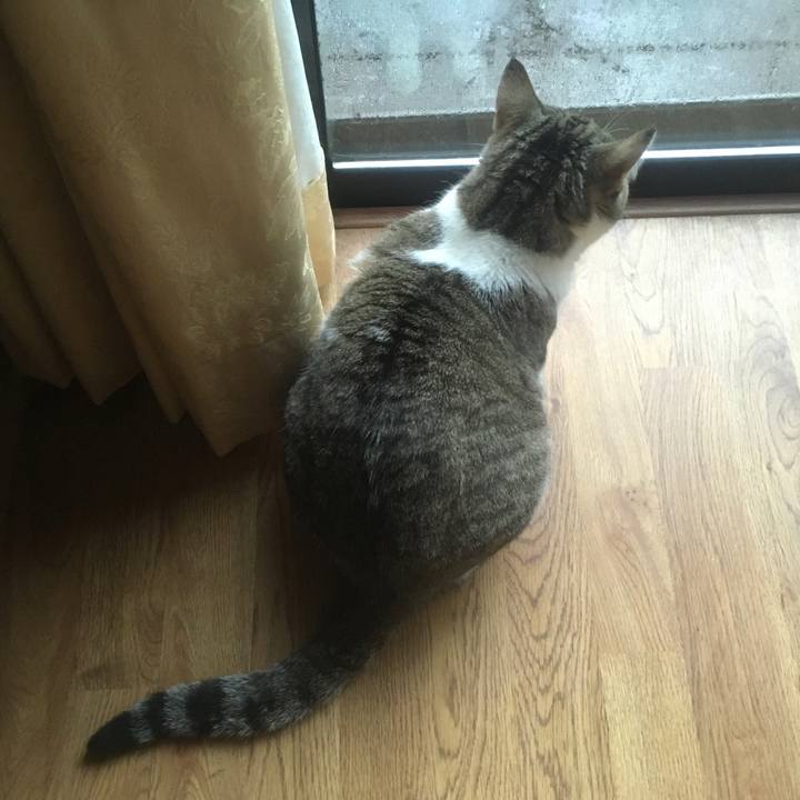 146b1f8c a284 4304 941f 87215990a348 1618618717704