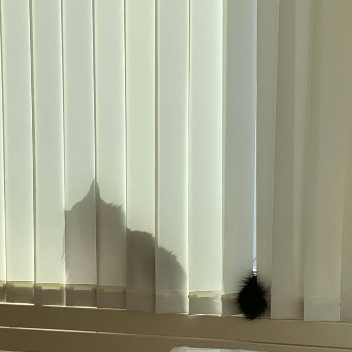 146b33bb 1cd2 4261 ad8b 2e99ac585ba2 1743901832026