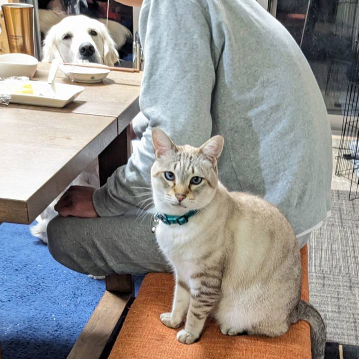 146b5b0d 3107 4341 99c2 a6e87b0085c9 1766049416326