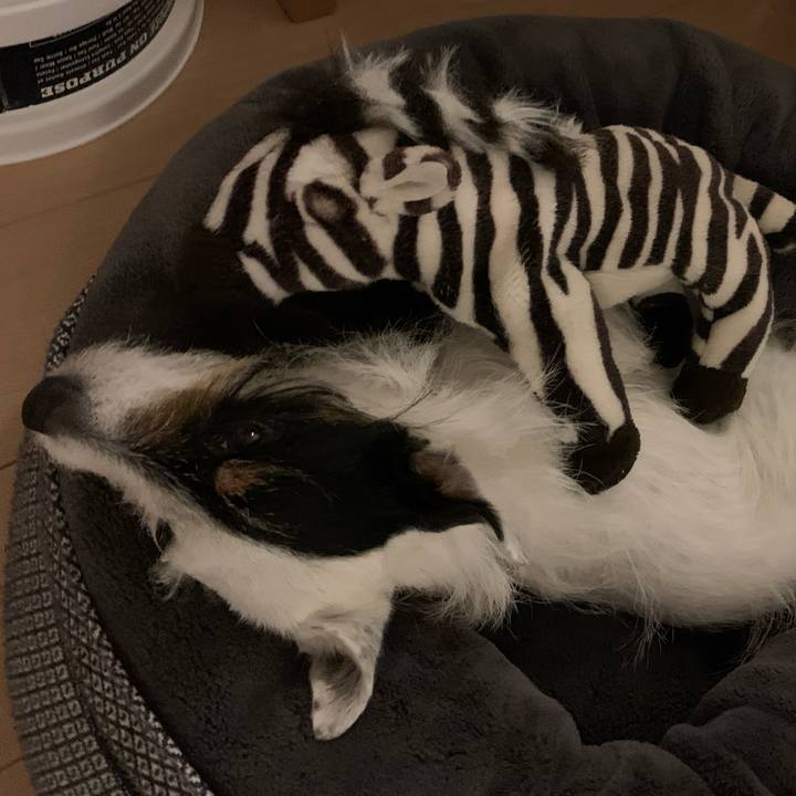 146b6cd6 8af1 4d57 9051 204f8bd3e902 1680955145969