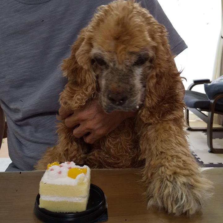 146bb578 9ea8 4136 8f97 08f1a0641795 1638591120575