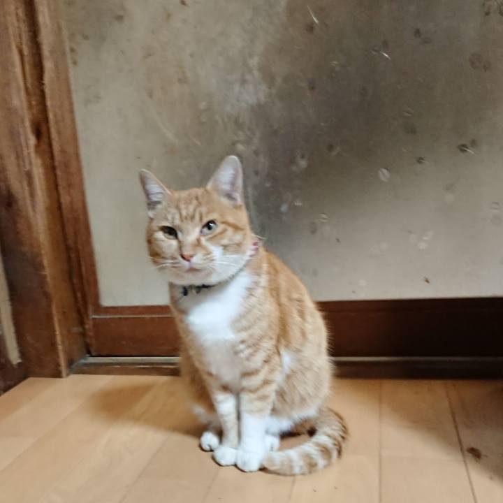 146c05df cc2a 4459 880e 3c2c5e940d82 1606124977375