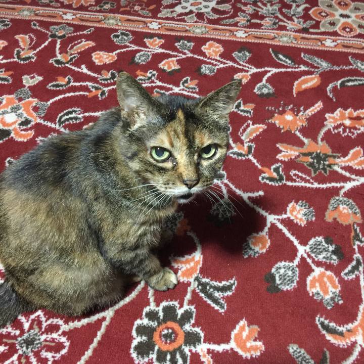 146c408c 9daf 40df b06e 14e2cfe04525 1566200797695