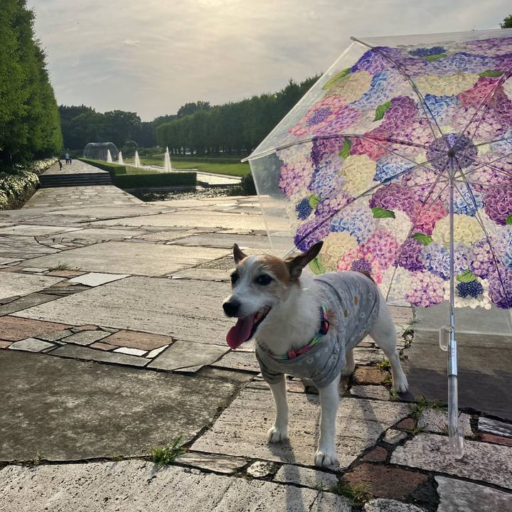 146c64c5 cafd 4f04 b135 61e679f52492 1687303222483