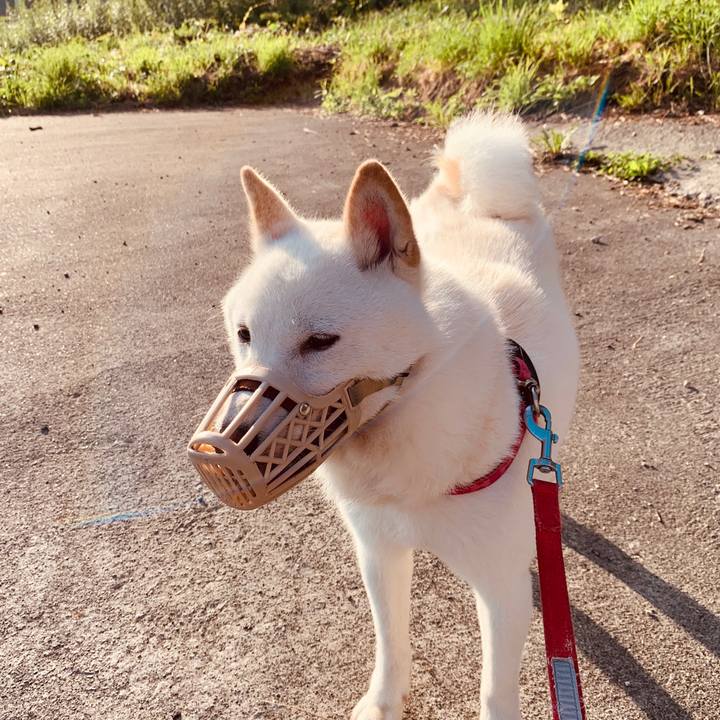 146c8426 7010 4d3e a75e 9907814ddf5a 1564351681446