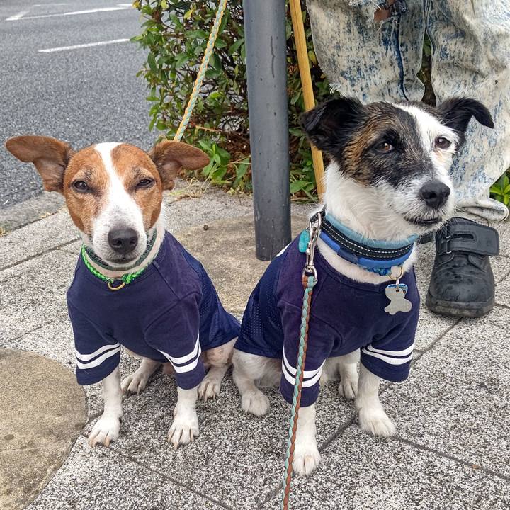 146c8433 0b64 49a6 86da 5ab3f438dc2f 1720649631432