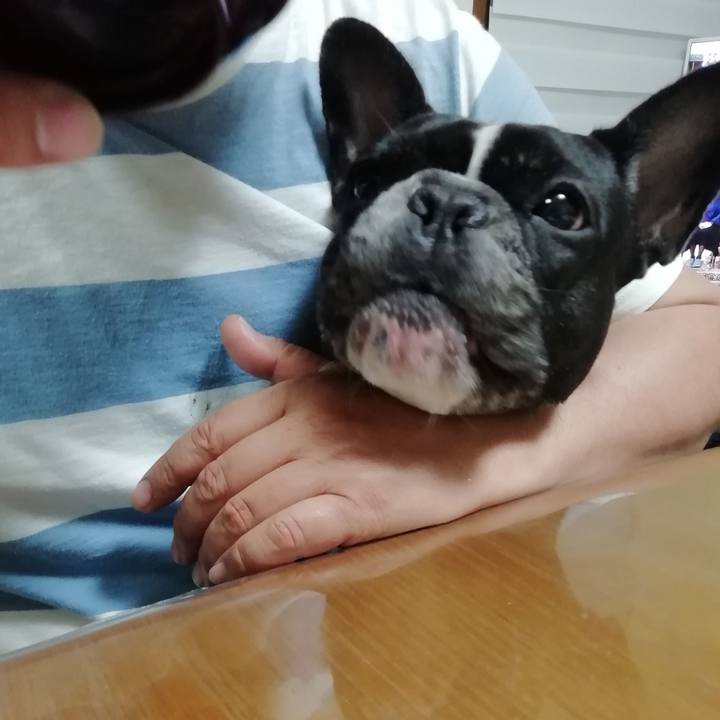 146c9bba 4325 4a70 b643 cc9431ee602c 1552990160291