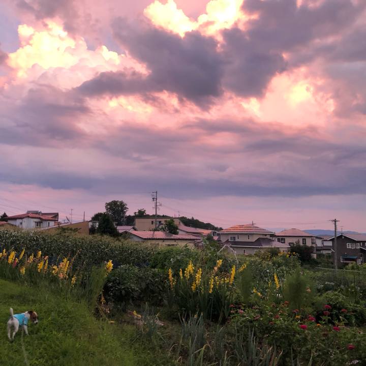 146d1ee0 12d7 4bbc 8c43 0246a7219a21 1565348146097