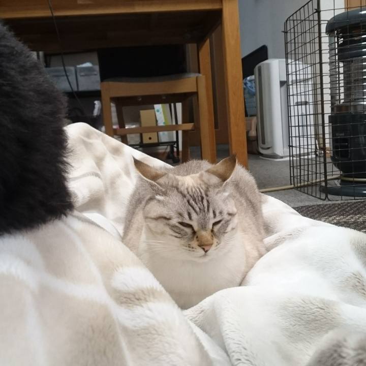 146d1fa1 cc51 4ae3 9101 ab72ebbc5b9d 1508928191578