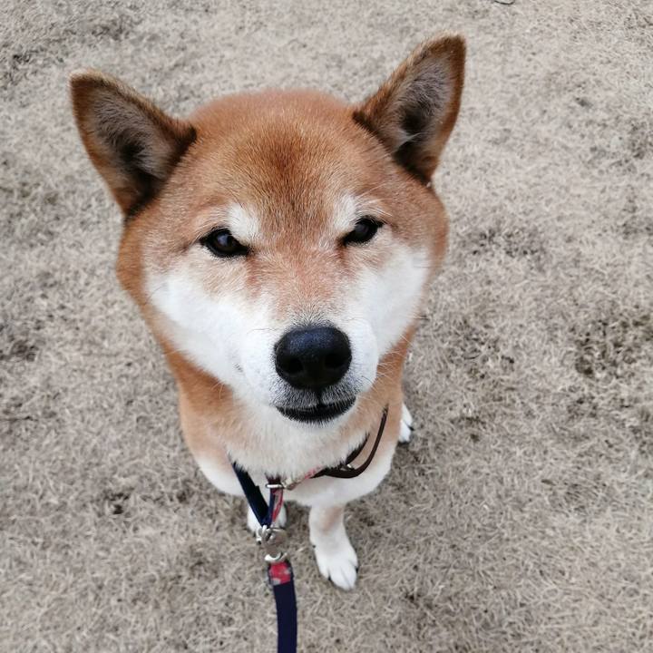 146d6909 fc0f 4292 9142 8e88cb10a5f5 1614661968999